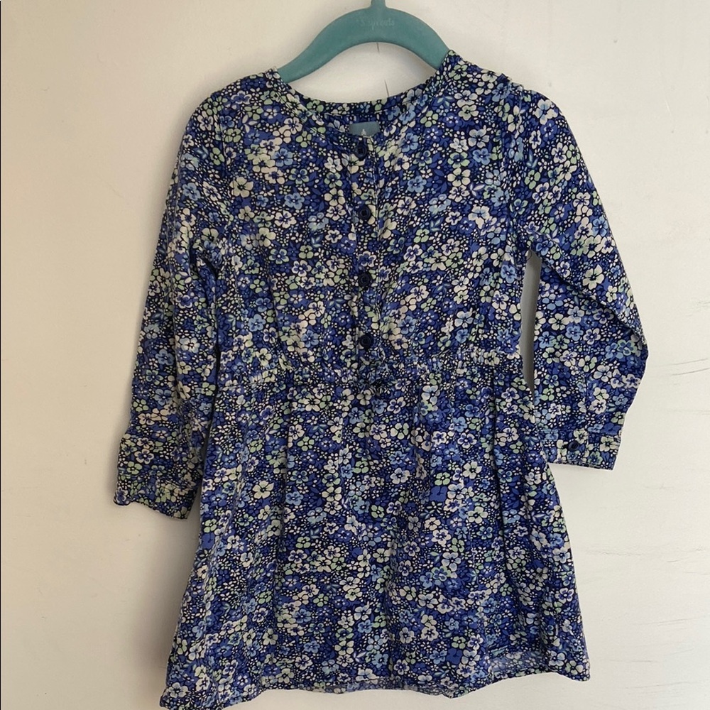 Baby Gap floral print dress